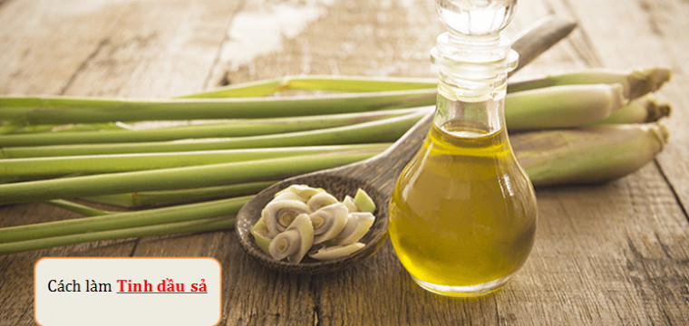 Hướng dẫn chi tiết cách làm tinh dầu sả với 6 bước đơn giản nhất