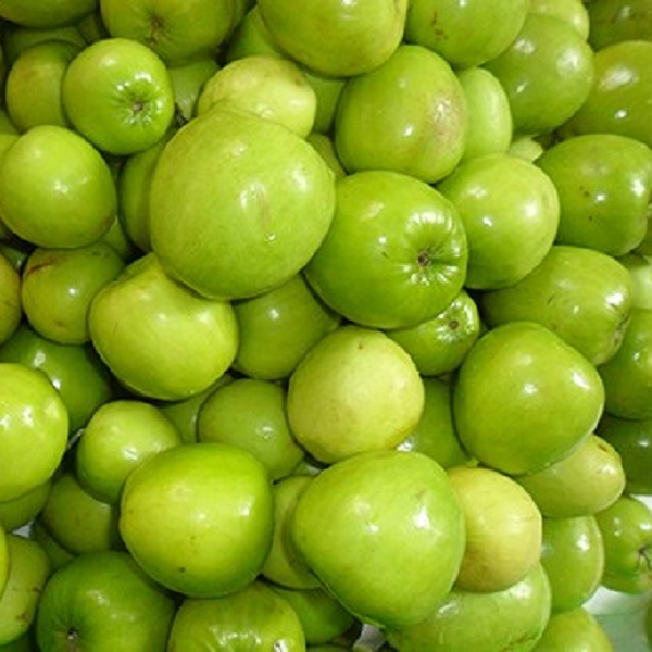 Táo gió Ninh Thuận