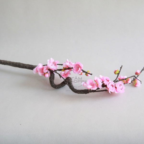 Cành hoa đào Nhật thân xoắn
