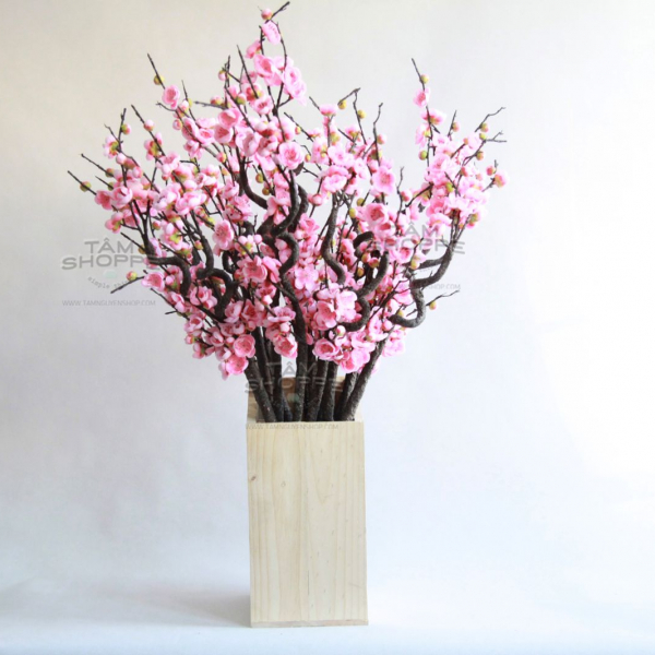 Cành hoa đào Nhật thân xoắn